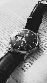 Aleksandar Maricic review photo