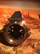 Rudolf Bachmann review photo