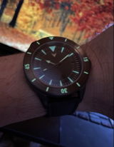 Sven Adriaen Ottes review photo