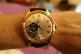 Todor Petrov review photo
