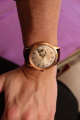 Todor Petrov review photo