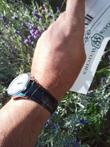 Leonte Stefan review photo