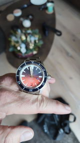 Renee van der linden review photo