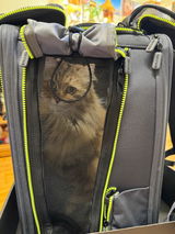 Thesiberiancatsclan review photo