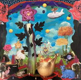 Gavin Lavelle review photo