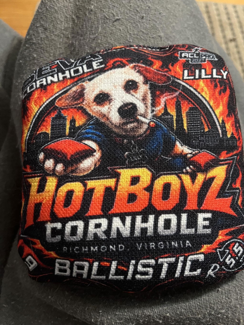 Customized SEVA Cornhole Bags