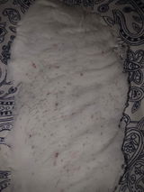 LASH LUST BY ANASTACIA review photo
