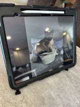 Distracted Ninja review photo