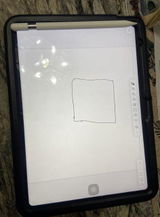 Lucich review photo