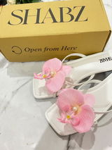Shabana review photo