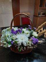 Amy Raichur review photo