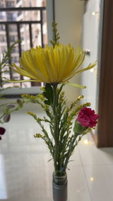 Shivani review photo