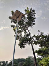 Jamir Nagaland review photo