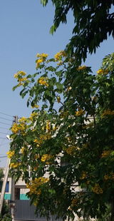 Farooq Ahmad Khan review photo