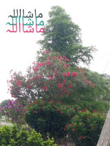 Farooq Ahmad Khan review photo