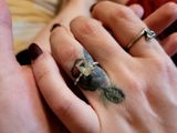 Tania C. review photo
