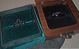 Reid A. review photo