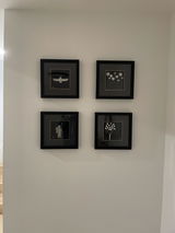 Rana Tavanaei review photo