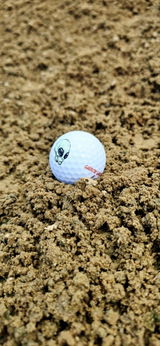 Kyle Klinner review photo