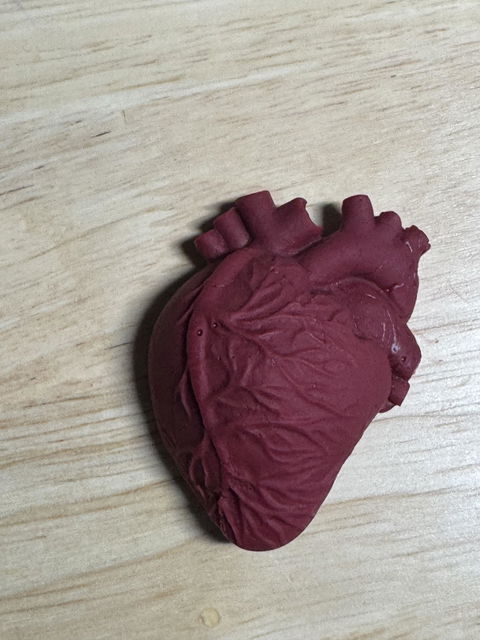 ANATOMICAL HEART SILICONE MOLD