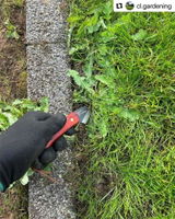C L Gardening review photo