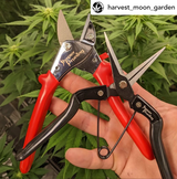 Harvest Moon Garden review photo