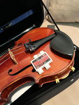 Theodore Cohen review photo