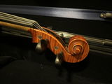 Aaron Rubel review photo