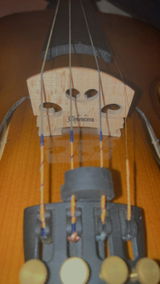 D.A. review photo