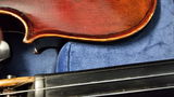 D.V. review photo