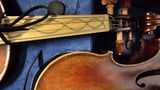 D.V. review photo