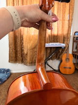 Alexis Fors review photo