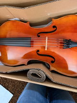 Alexis Fors review photo