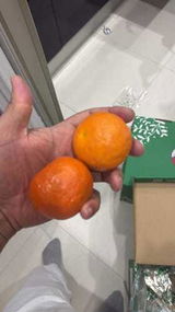 سلطان سعود review photo