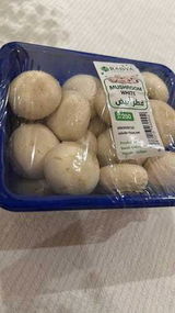 Tamer Almohtaseb review photo