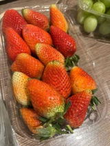نوري بشناق review photo