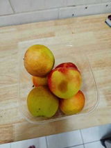 ثامر العريفي review photo