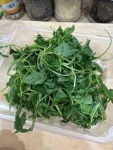 Thamer Ghoth review photo
