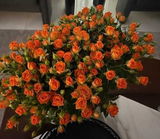 شموخ فهد review photo