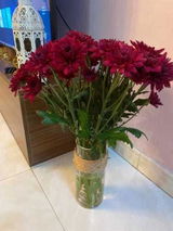 عذراء الحاجي review photo