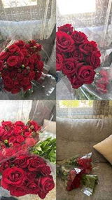 رشا حيدر review photo