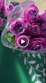 رشا حيدر review photo
