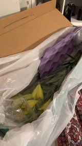 رغد الغامدي review photo