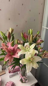 يارا مندورة review photo