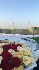 مروه العنزي review photo