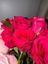 Rghad khaled review photo