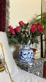 hany alhasan review photo