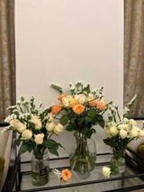Njood Alsadoun review photo