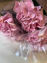 Eman ibrahim review photo