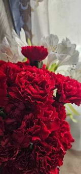 ورد أحمد review photo